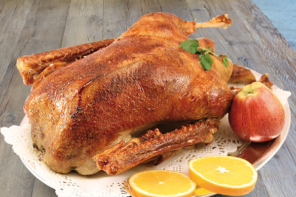 Ente & Gans was Feines Ente & Gans was Feines